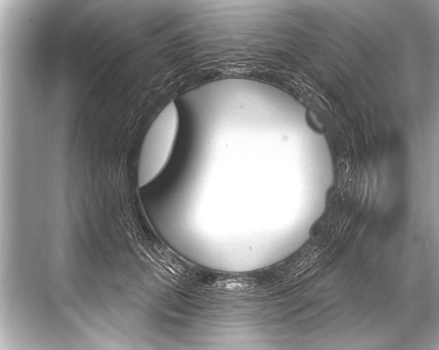 X0000068820655200605050943