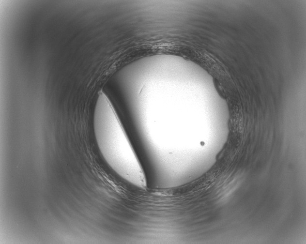 X0000068820660200605050943