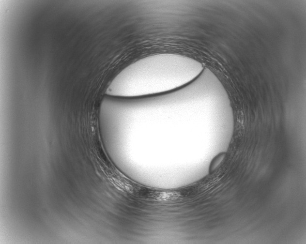 X0000068820663200605050944