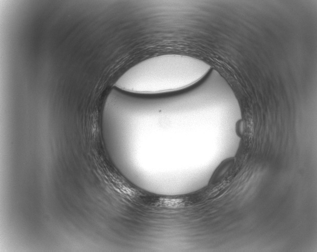 X0000068820665200605050944