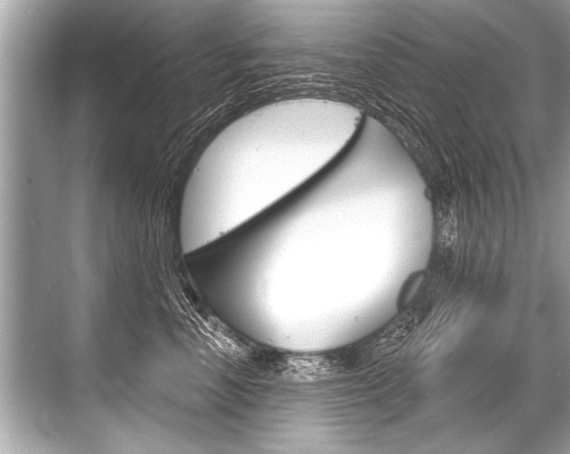 X0000068820666200605050944