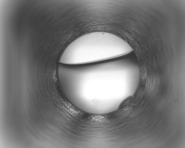 X0000068820669200605050944