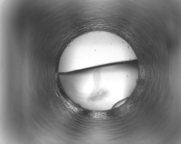 X0000068820670200605050944