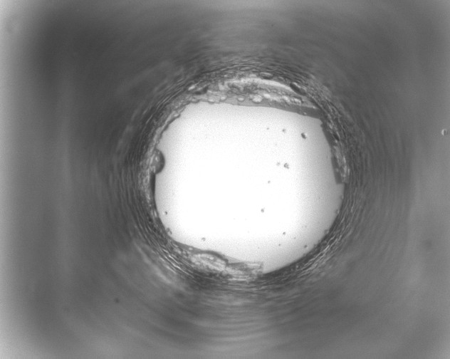 X0000068820672200605050944