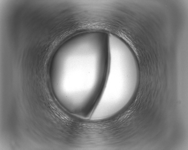 X0000068820673200605050943