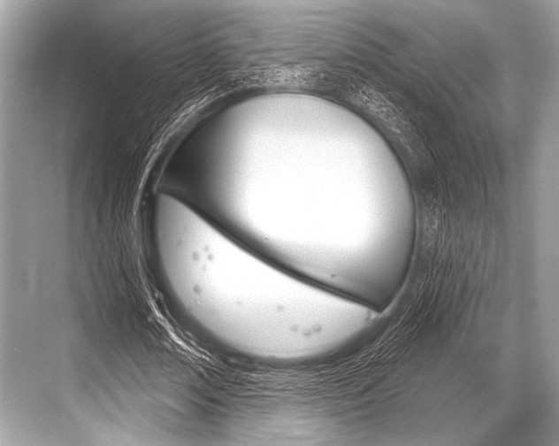 X0000068820674200605050943