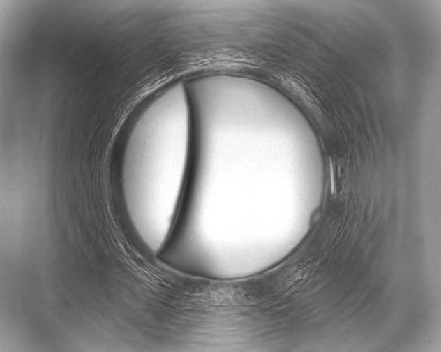 X0000068820675200605050943