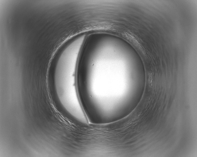 X0000068820676200605050943