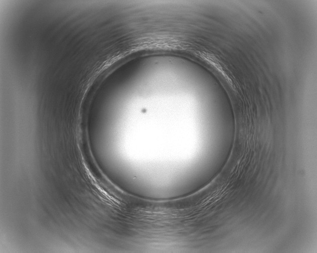 X0000068820677200605050943