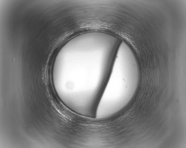 X0000068820678200605050943