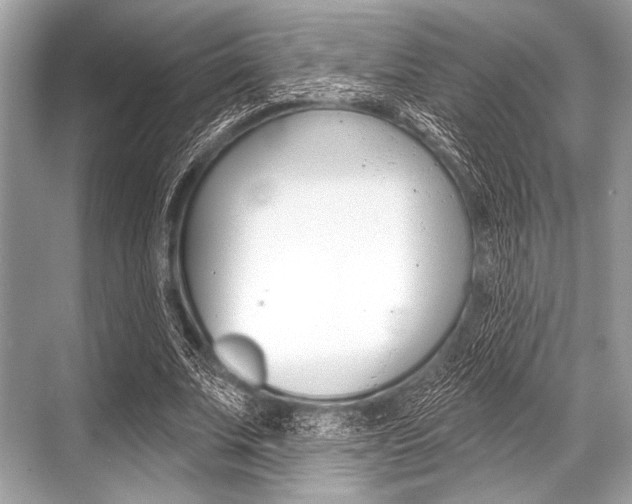 X0000068820679200605050943