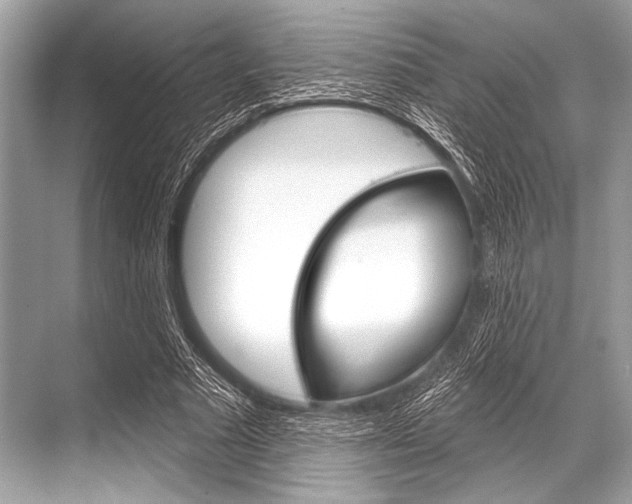 X0000068820681200605050943