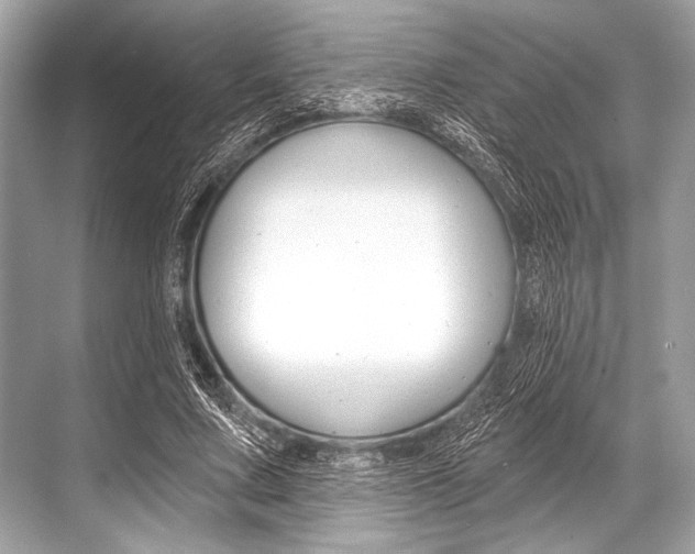 X0000068820683200605050943