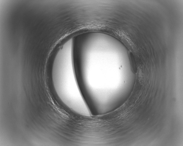 X0000068820684200605050943