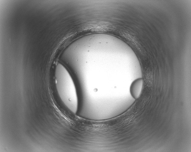 X0000068820686200605050943