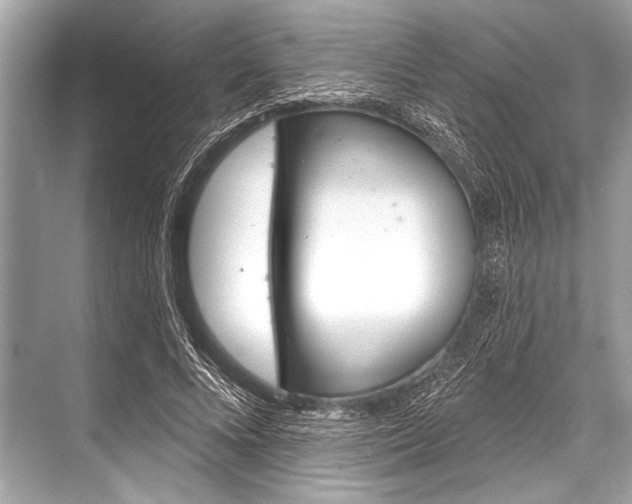 X0000068820688200605050943