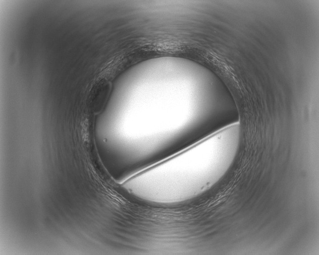 X0000068820689200605050943