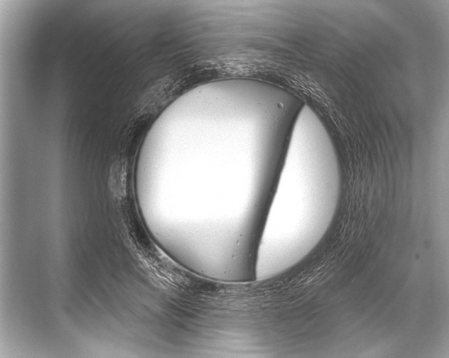 X0000068820694200605050943