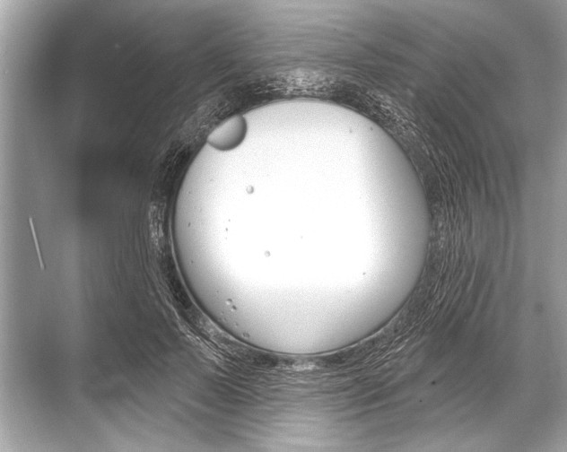 X0000068820695200605050943