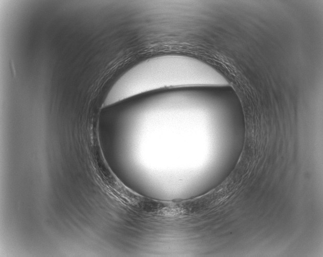 X0000068820696200605050943