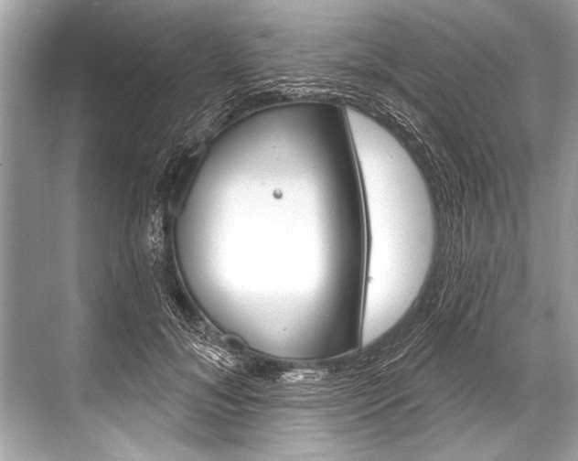 X0000068820700200605050942