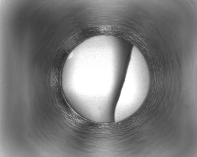 X0000068820702200605050942