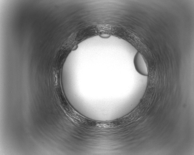 X0000068820703200605050942