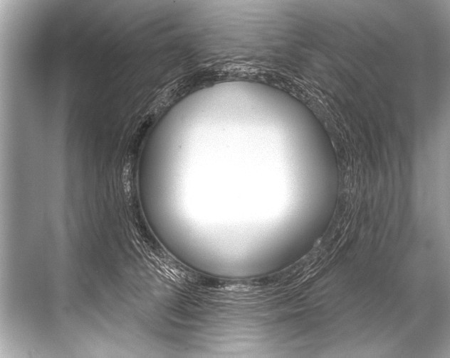 X0000068820708200605050942