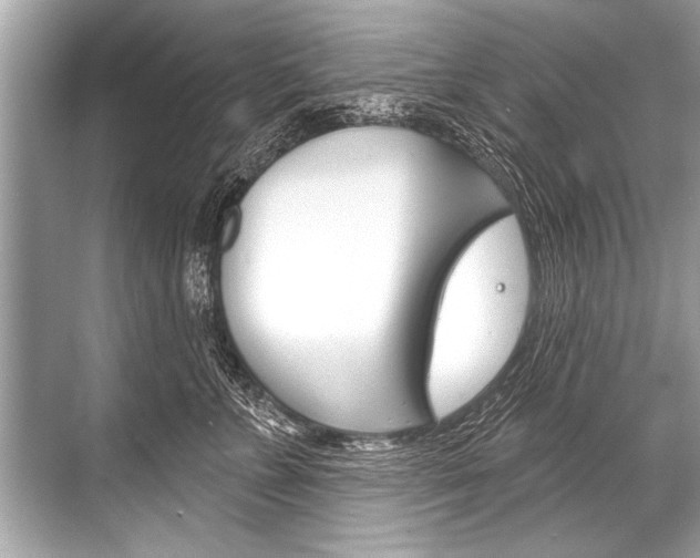 X0000068820715200605050942