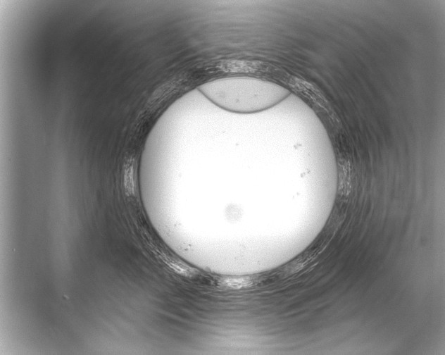 X0000068820717200605050942