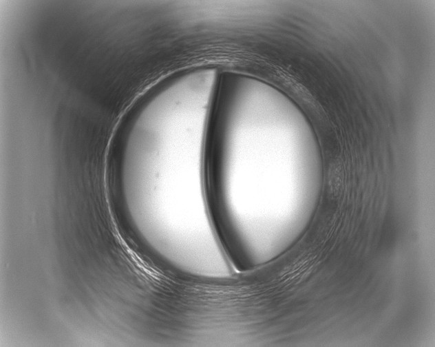 X0000068820722200605050941