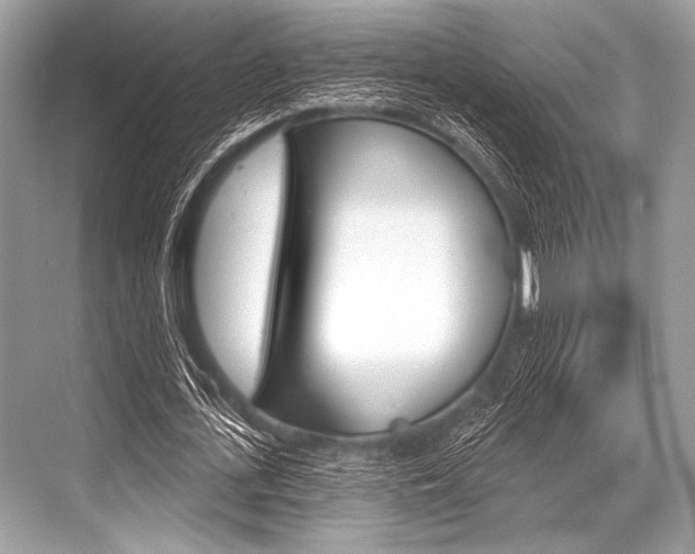 X0000068820723200605050941