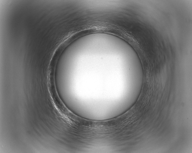 X0000068820730200605050941