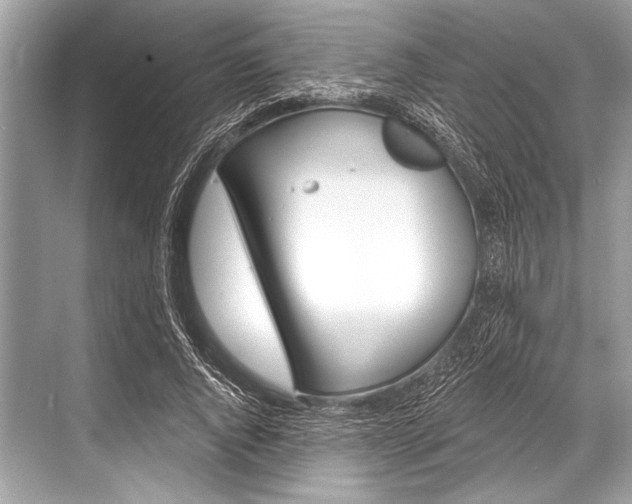 X0000068820736200605050942