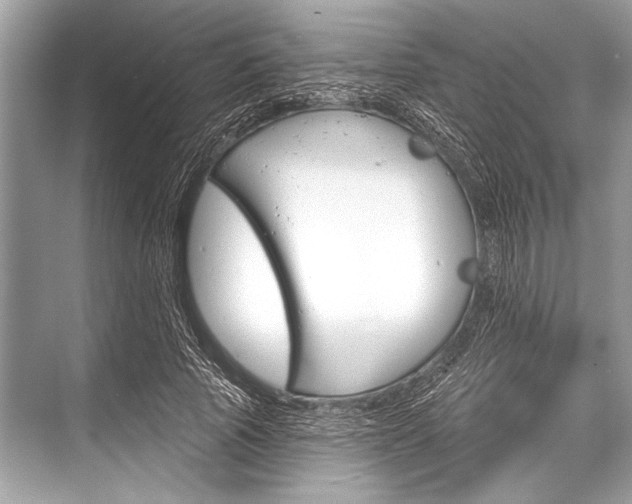 X0000068820737200605050942