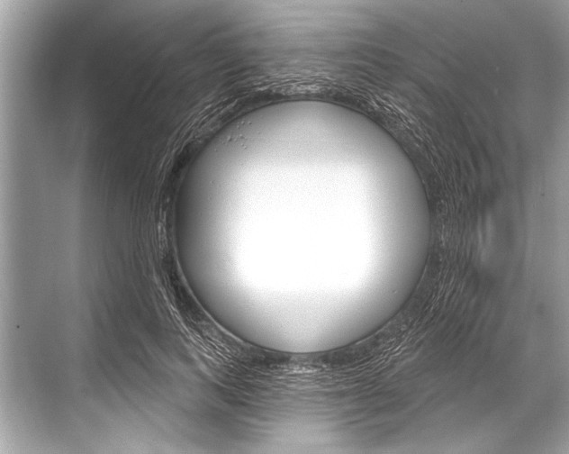 X0000068820743200605050942