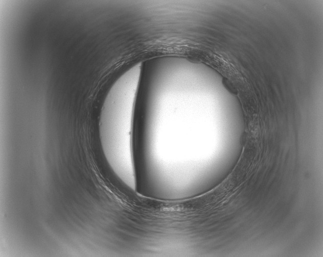 X0000068820744200605050942