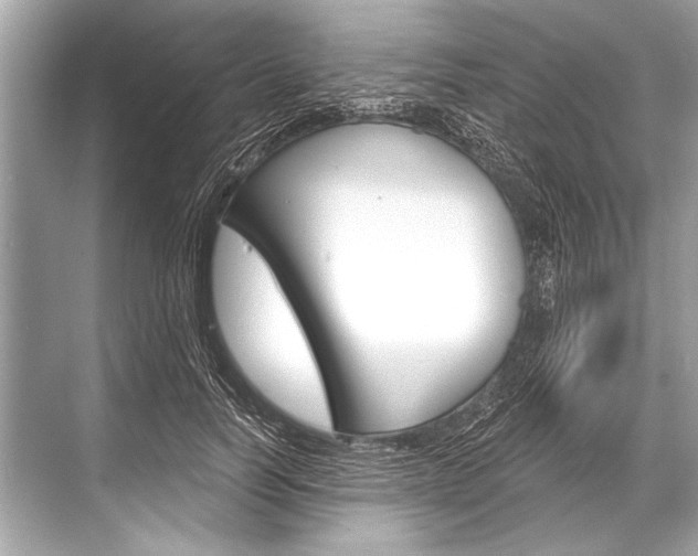 X0000068820746200605050942