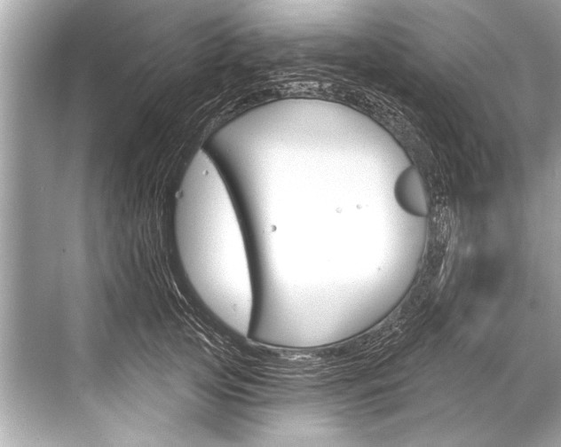 X0000068820753200605050942