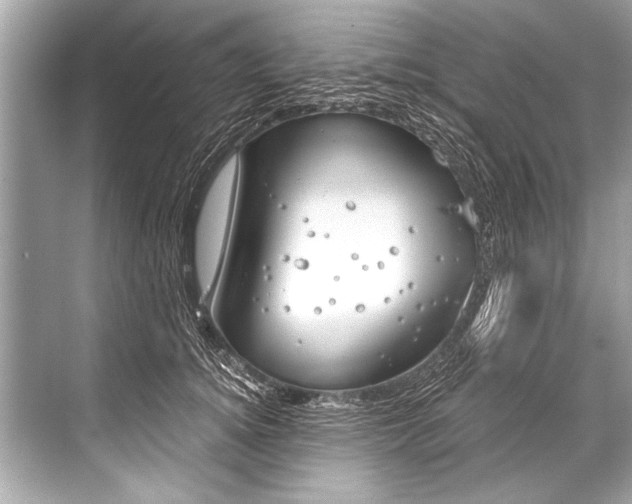 X0000068820756200605050942