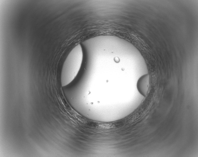 X0000068820757200605050942