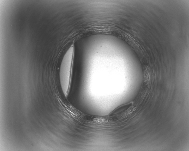 X0000068820764200605050942