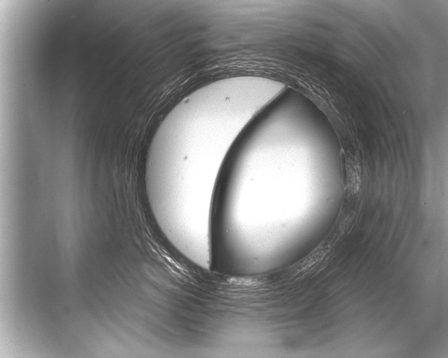 X0000068820766200605050942