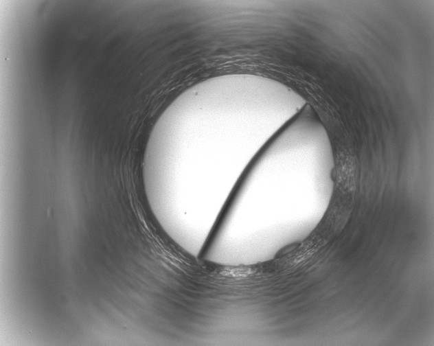 X0000068820767200605050942