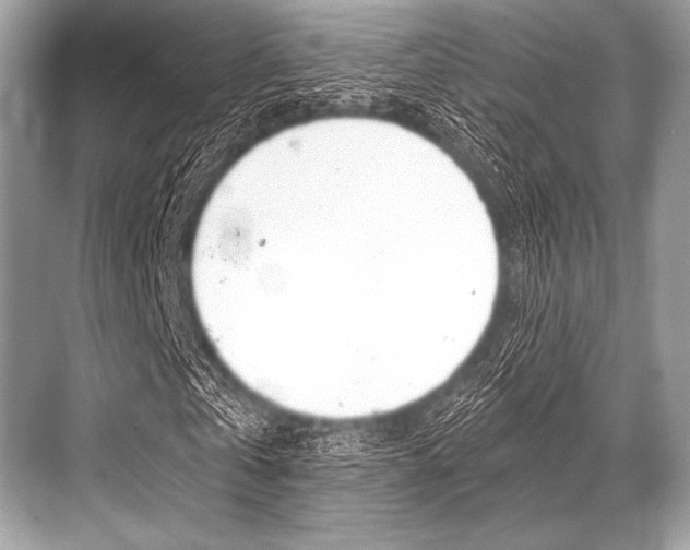X0000068820769200605050941