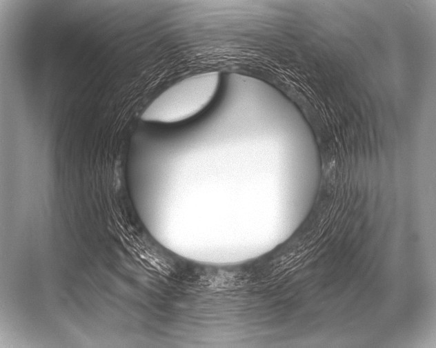 X0000068820772200605050941