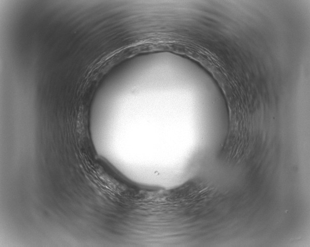 X0000068820773200605050941