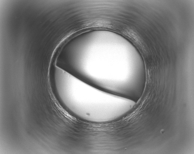 X0000068820780200605050941