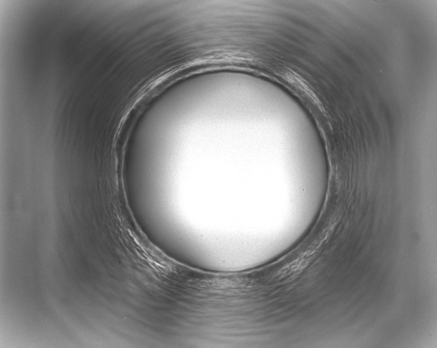 X0000068820781200605050941