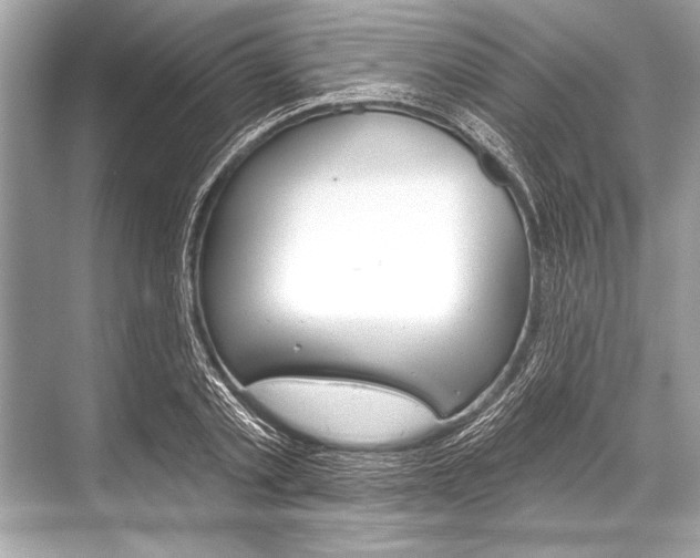X0000068820789200605050941